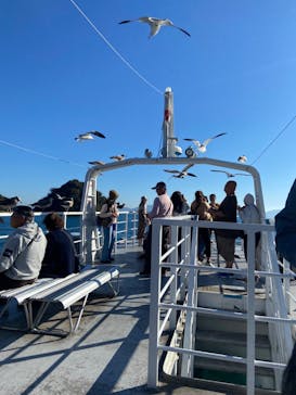 伊根湾めぐり遊覧船に投稿された画像（2023/11/22）