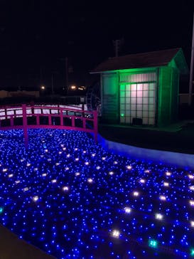 東京メガイルミに投稿された画像（2023/11/22）