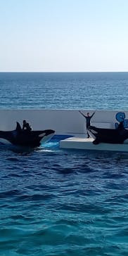 鴨川シーワールドに投稿された画像（2023/11/22）