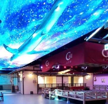 東京湯楽城に投稿された画像（2023/11/22）