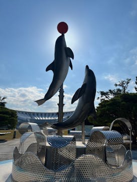 マリンワールド海の中道に投稿された画像（2023/11/22）