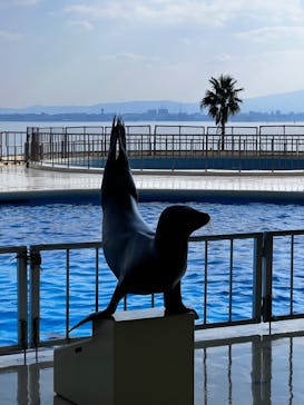 マリンワールド海の中道に投稿された画像（2023/11/22）
