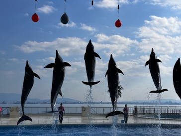 マリンワールド海の中道に投稿された画像（2023/11/22）