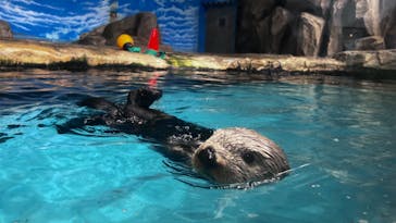 マリンワールド海の中道に投稿された画像（2023/11/22）