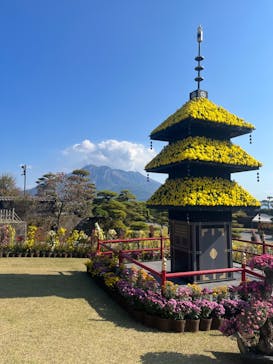 仙巌園に投稿された画像（2023/11/22）