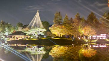国営昭和記念公園 秋の夜散歩に投稿された画像（2023/11/22）