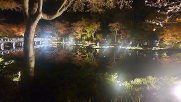 国営昭和記念公園 秋の夜散歩に投稿された画像（2023/11/22）