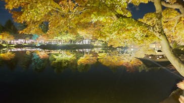 国営昭和記念公園 秋の夜散歩に投稿された画像（2023/11/22）
