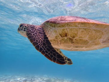 nico 宮古島に投稿された画像（2023/11/22）