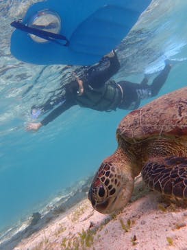 nico 宮古島に投稿された画像（2023/11/22）