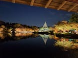 国営昭和記念公園 秋の夜散歩に投稿された画像（2023/11/22）