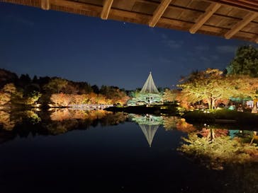 国営昭和記念公園 秋の夜散歩に投稿された画像（2023/11/22）