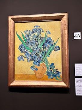 ゴッホと静物画　伝統から革新へ（SＯＭＰＯ美術館）に投稿された画像（2023/11/22）