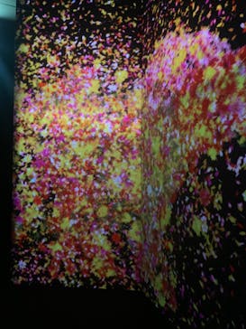 チームラボに投稿された画像（2023/11/22）