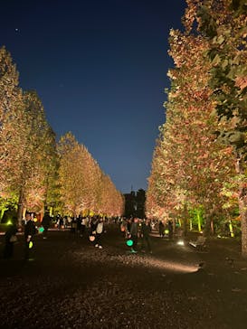 NAKED 紅葉の新宿御苑2023に投稿された画像（2023/11/22）