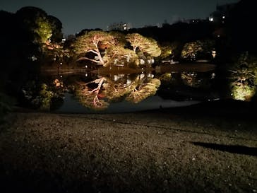 六義園に投稿された画像（2023/11/22）