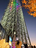 東京スカイツリーに投稿された画像（2023/11/22）