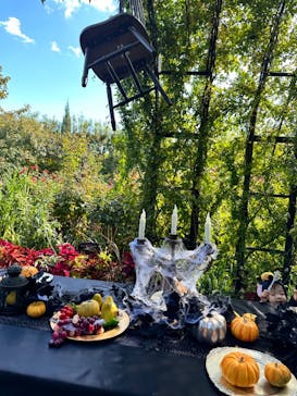 横浜イングリッシュガーデンに投稿された画像（2023/11/22）