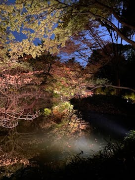 六義園に投稿された画像（2023/11/22）