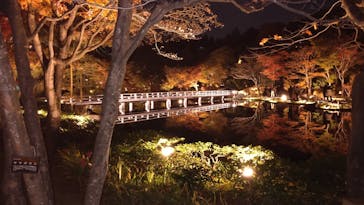 国営昭和記念公園 秋の夜散歩に投稿された画像（2023/11/22）