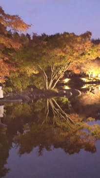 国営昭和記念公園 秋の夜散歩に投稿された画像（2023/11/22）