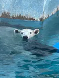 天王寺動物園に投稿された画像（2023/11/22）