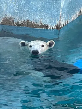 天王寺動物園に投稿された画像（2023/11/22）
