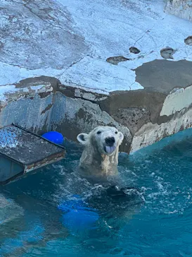 天王寺動物園に投稿された画像（2023/11/22）