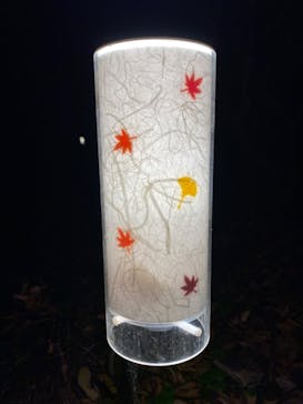 六義園に投稿された画像（2023/11/22）