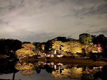 六義園に投稿された画像（2023/11/22）