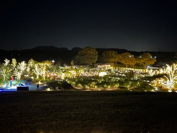 いばらきフラワーパークに投稿された画像（2023/11/22）