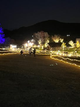 いばらきフラワーパークに投稿された画像（2023/11/22）