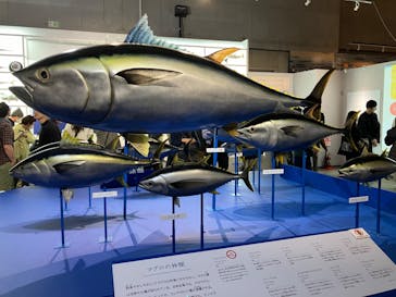 特別展「和食 ～日本の自然、人々の知恵～」に投稿された画像（2023/11/22）