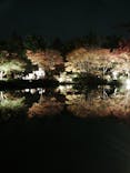 国営昭和記念公園 秋の夜散歩に投稿された画像（2023/11/22）