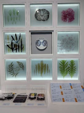 特別展「和食 ～日本の自然、人々の知恵～」に投稿された画像（2023/11/22）