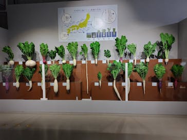 特別展「和食 ～日本の自然、人々の知恵～」に投稿された画像（2023/11/22）