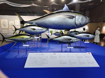 特別展「和食 ～日本の自然、人々の知恵～」に投稿された画像（2023/11/22）