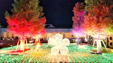 神戸イルミナージュに投稿された画像（2023/11/22）