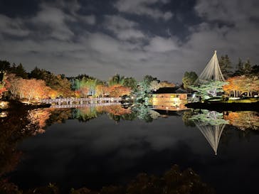 国営昭和記念公園 秋の夜散歩に投稿された画像（2023/11/22）