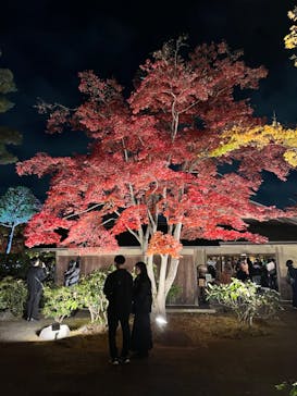 国営昭和記念公園 秋の夜散歩に投稿された画像（2023/11/22）