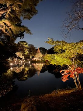 六義園に投稿された画像（2023/11/22）