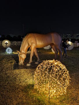 東京メガイルミに投稿された画像（2023/11/22）