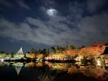 国営昭和記念公園 秋の夜散歩に投稿された画像（2023/11/22）