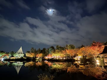 国営昭和記念公園 秋の夜散歩に投稿された画像（2023/11/22）