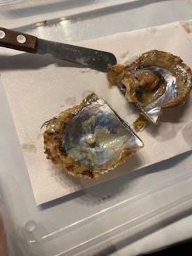 しながわ水族館に投稿された画像（2023/11/22）