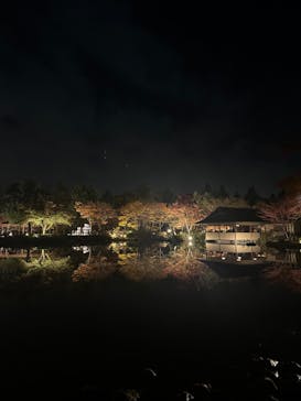 国営昭和記念公園 秋の夜散歩に投稿された画像（2023/11/22）