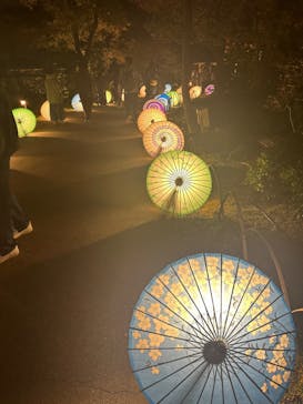 国営昭和記念公園 秋の夜散歩に投稿された画像（2023/11/22）