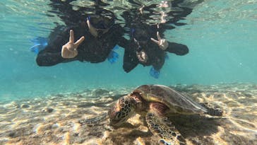 宮古島 ADVENTURE PiPi（ミヤコジマ アドベンチャー ピピ）に投稿された画像（2023/11/22）