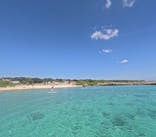 宮古島 ADVENTURE PiPi（ミヤコジマ アドベンチャー ピピ）に投稿された画像（2023/11/22）