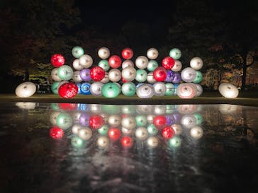 国営昭和記念公園 秋の夜散歩に投稿された画像（2023/11/22）